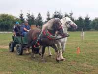 Ranč Mustang 15. 8.  2020 - závody