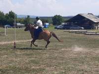 Ranč Mustang - Jezdecký den 16. 8. 2020