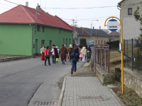 Vodění medvěda 2011